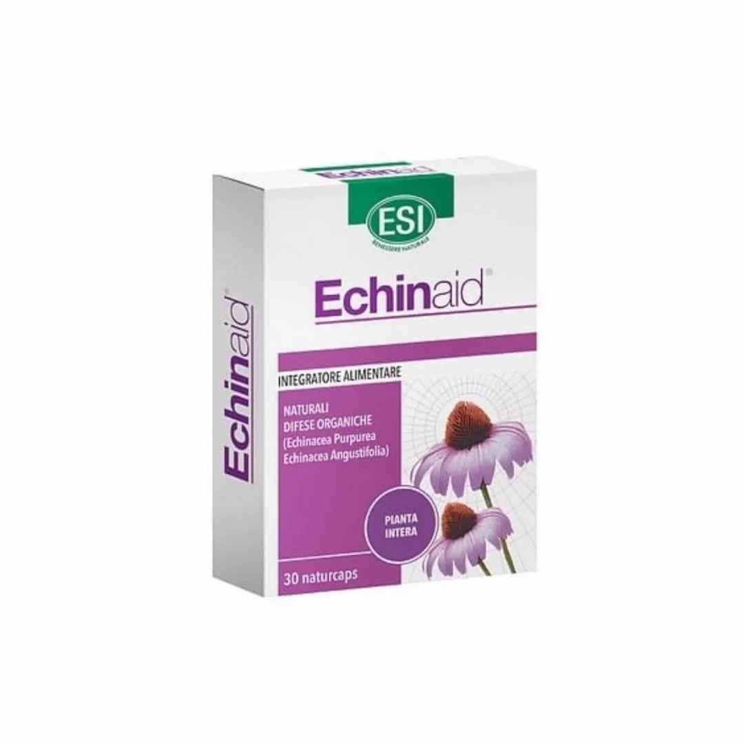 Esi Echinaid Urto