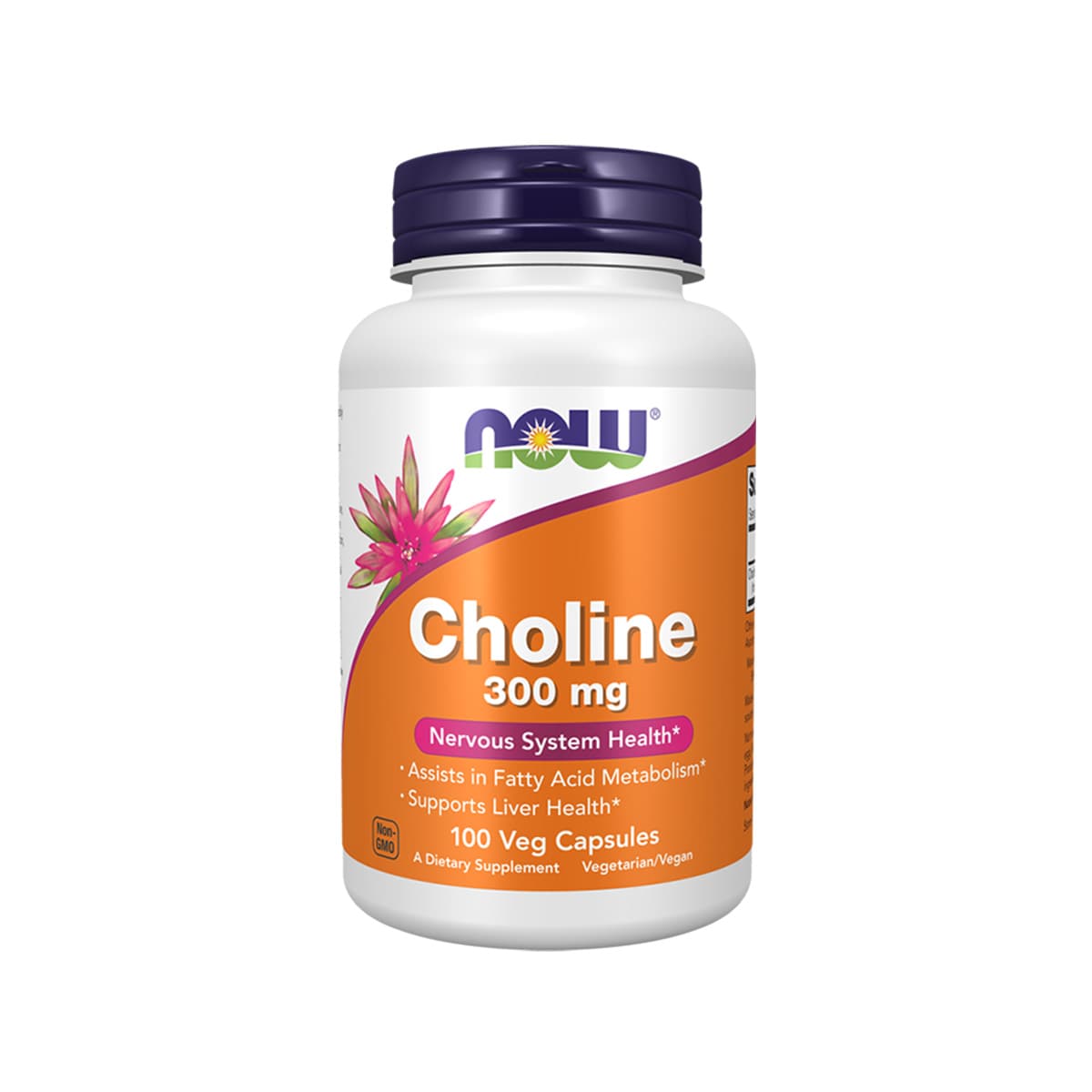 Now - Choline 300 mg