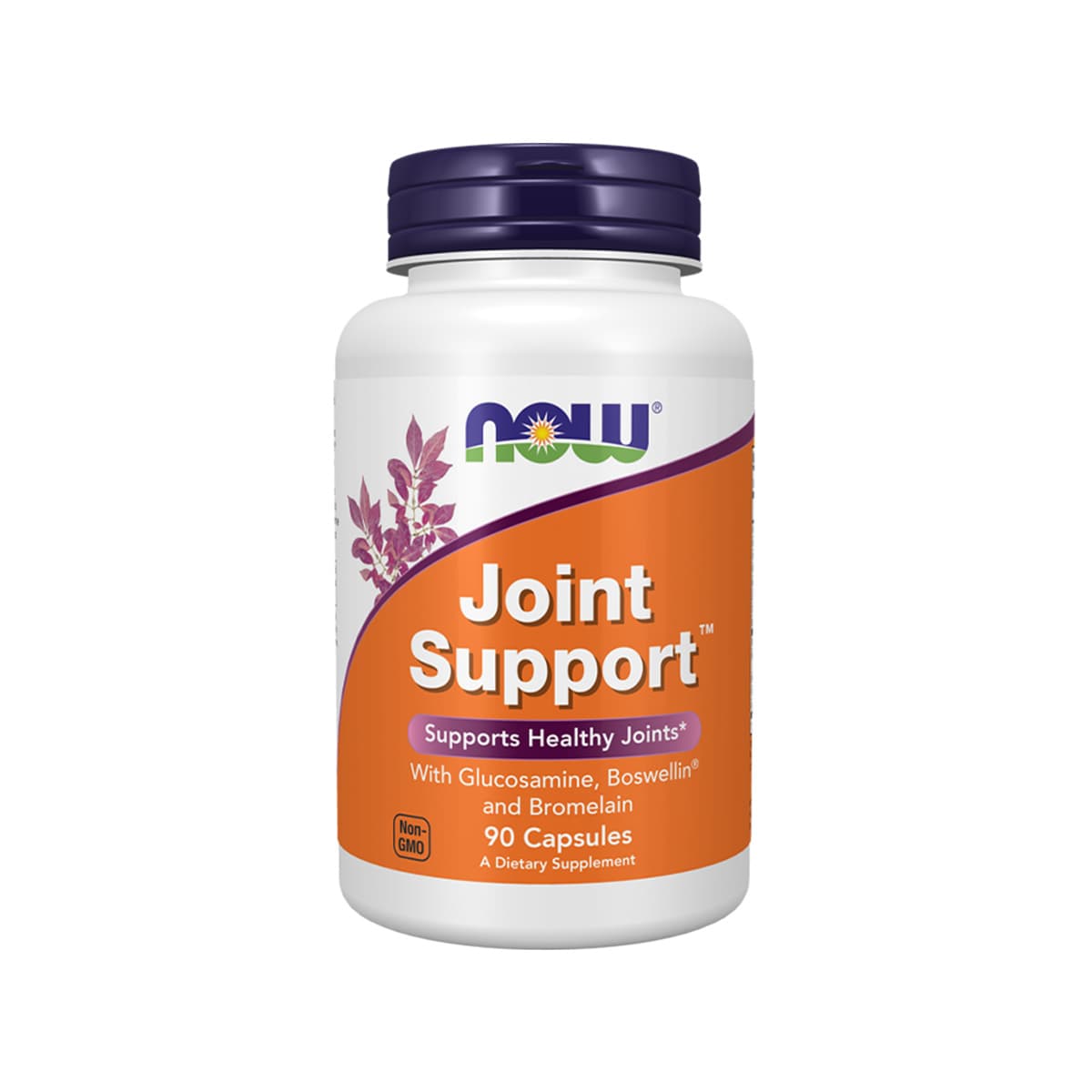 Now - Joint Support