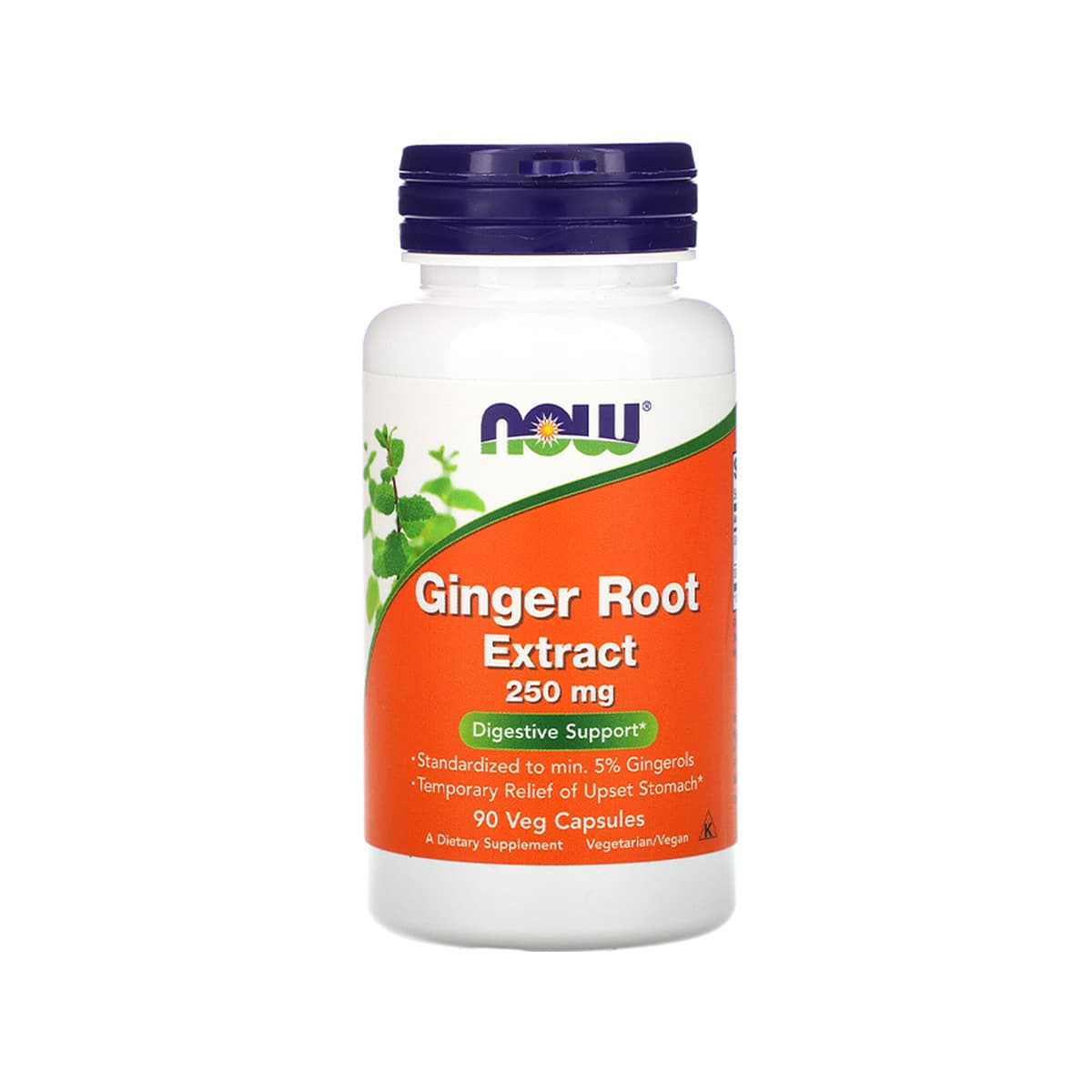 Now - Ginger Root Extract 250mg