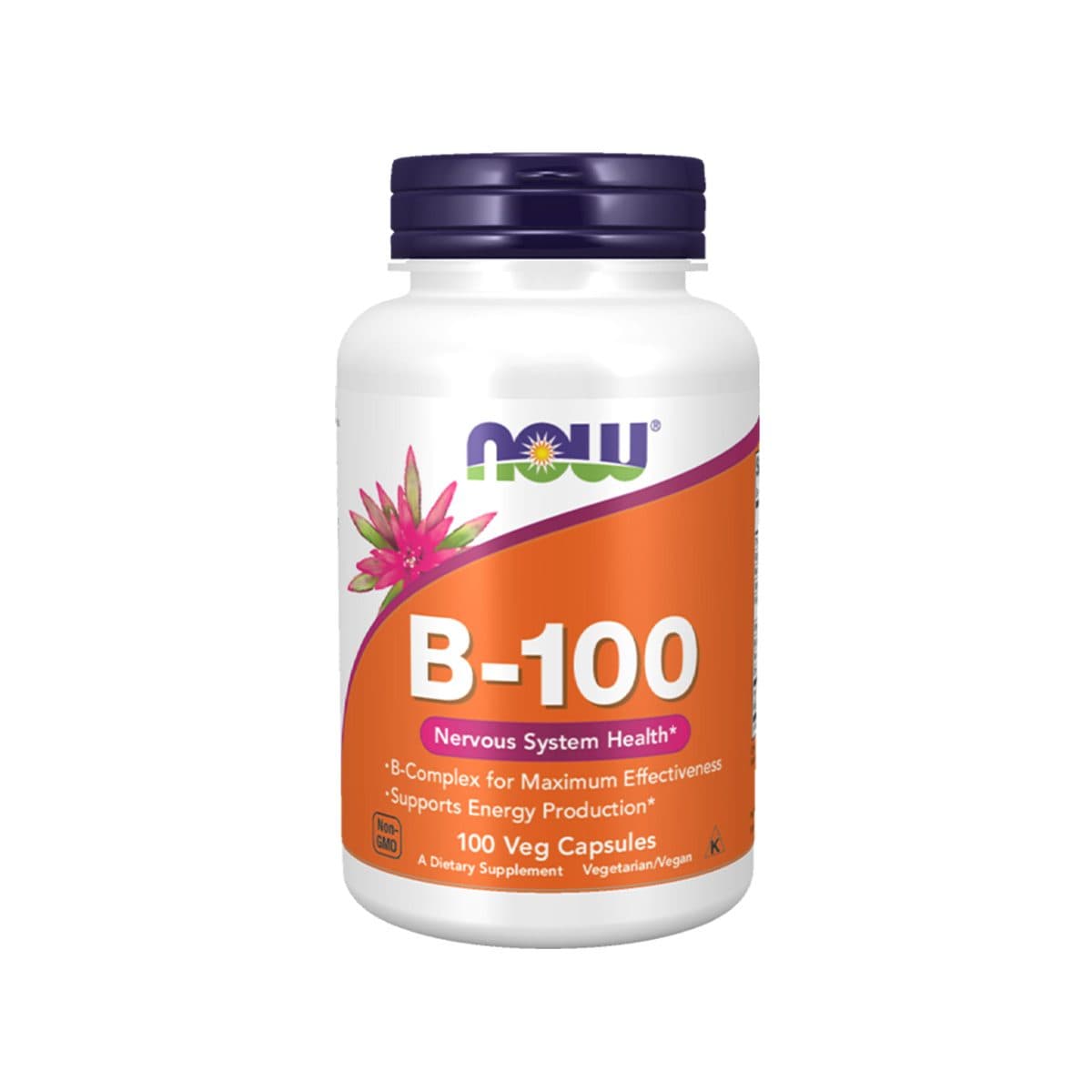 Now - Vitamina B-100