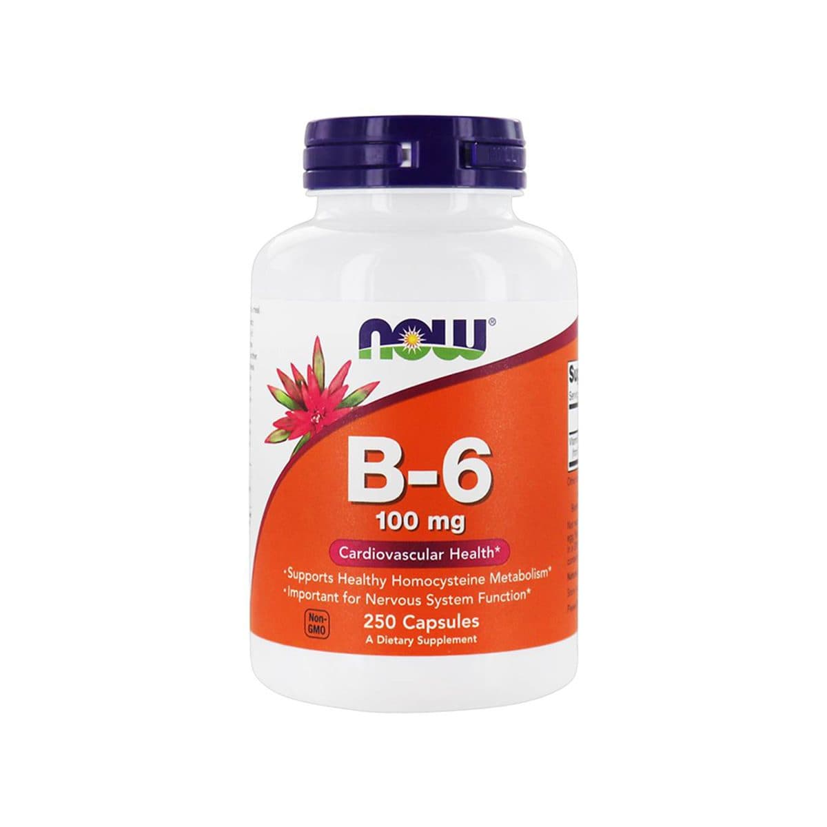 Now - Vitamina B-6 100mg