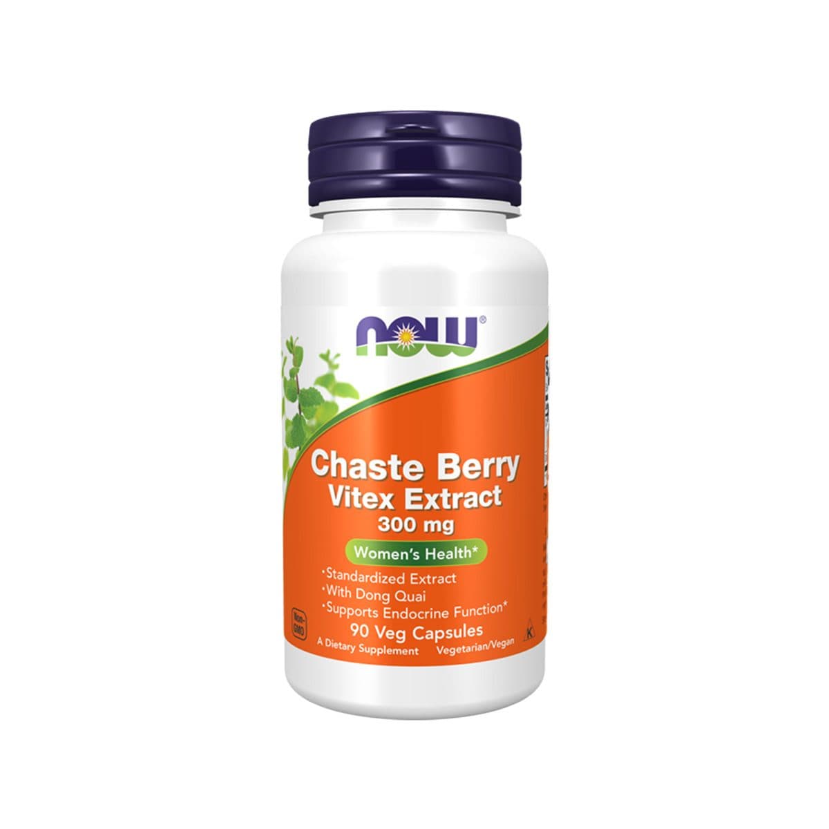 Now - Chaste Berry Vitex Extract 300 mg