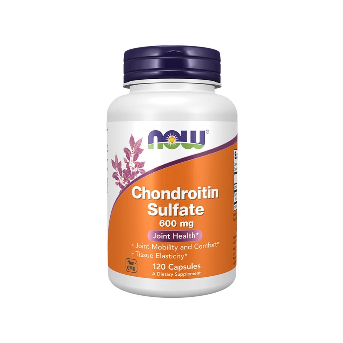 Now - Chondroitin Sulfate 600 mg