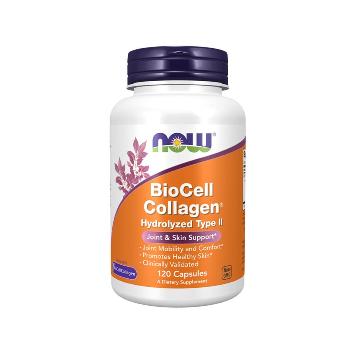 Now - BioCell Collagen® Hydrolyzed Type II